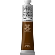 Winton Oil Colour 200ml Burnt Umber