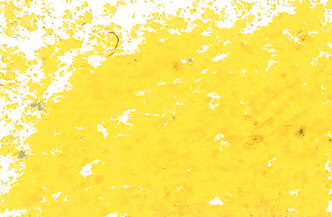 Oil Pastel Dark Yellow
