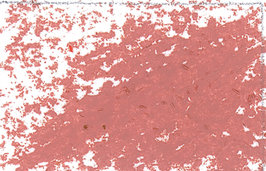 Oil Pastel Pale Brown