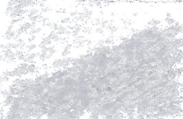 Oil Pastel Light Grey